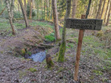 WhatsApp Image 2026-04-29 at 20.jpg